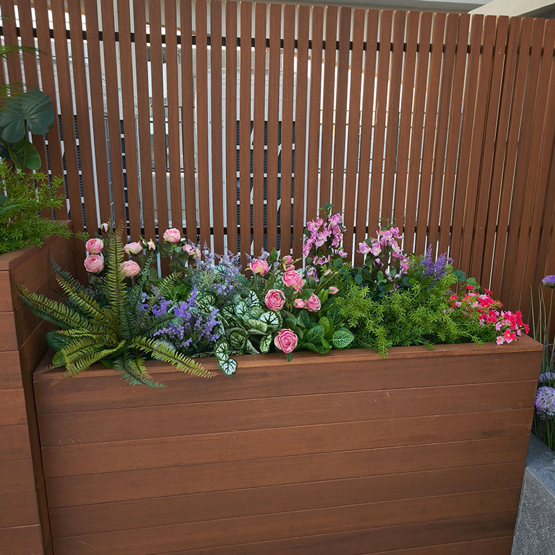 室内景观
