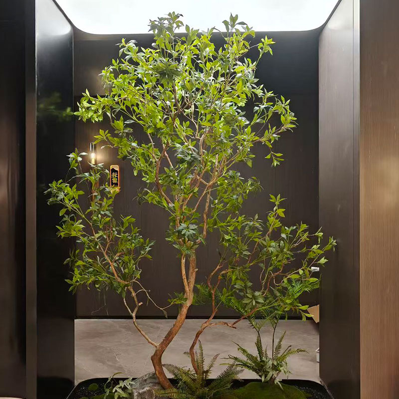 室内景观