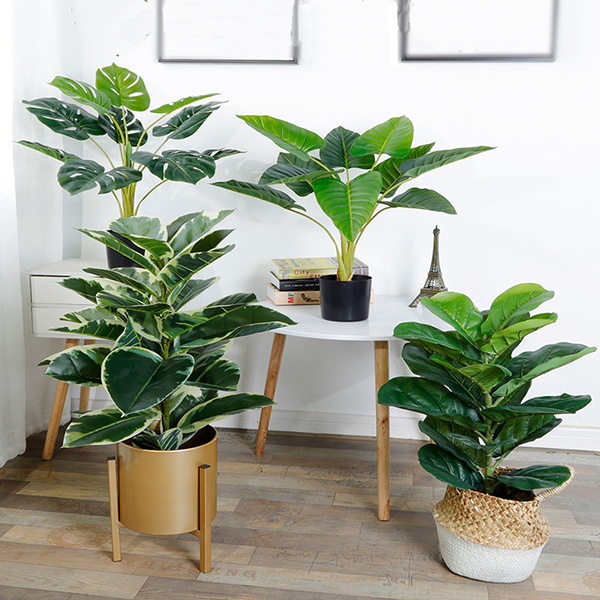 沈阳仿真植物 沈阳仿真植物